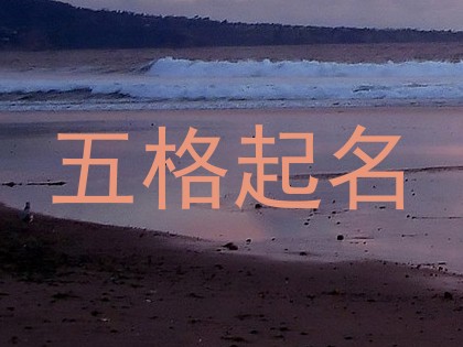五格起名