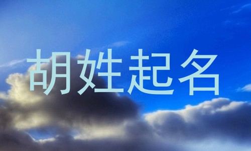 胡姓起名