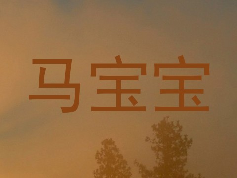 马宝宝