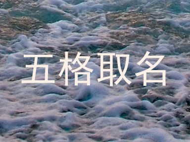 五格取名