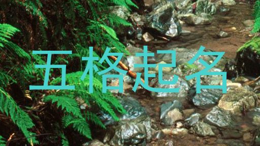 五格起名