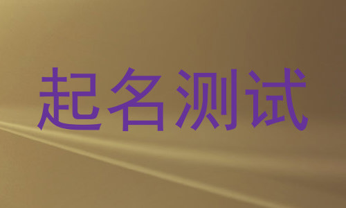 起名测试
