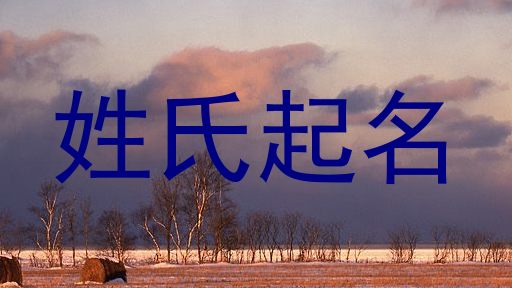 姓氏起名