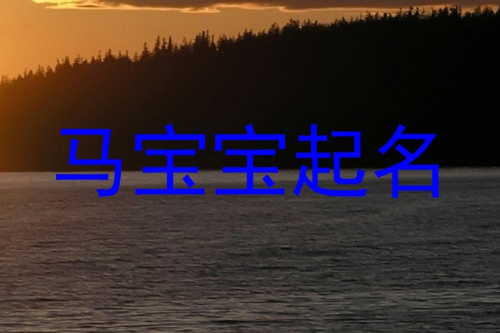 马宝宝起名