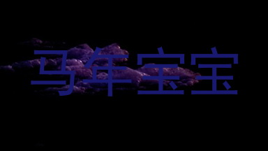 马年宝宝