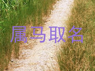 属马取名