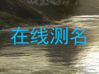在线测名