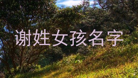 谢姓女孩名字
