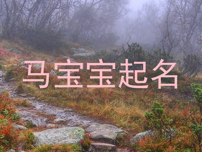 马宝宝起名