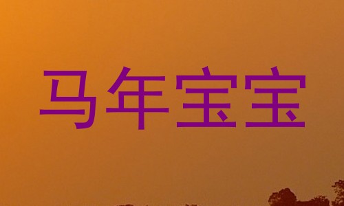 马年宝宝