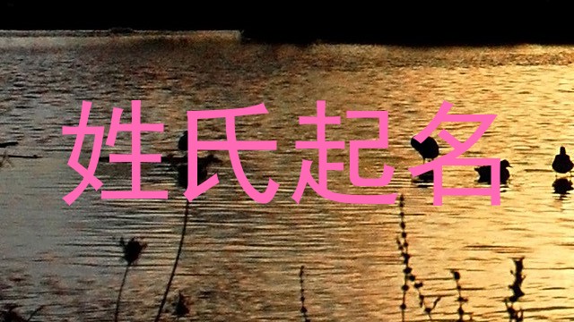 姓氏起名