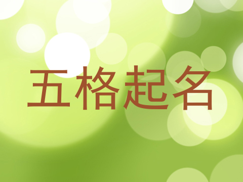 五格起名