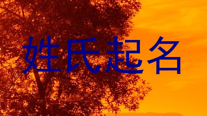 姓氏起名