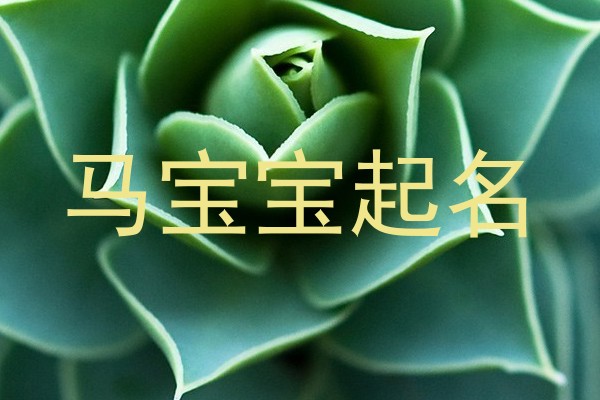 马宝宝