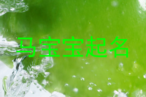 马宝宝起名