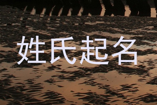 姓氏起名