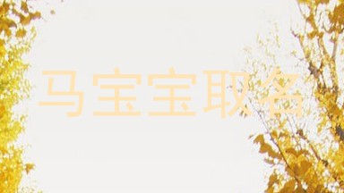 马宝宝取名