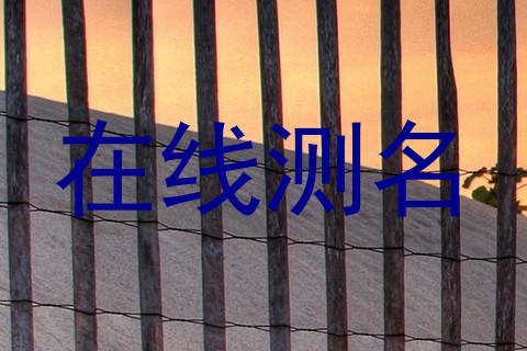 在线测名
