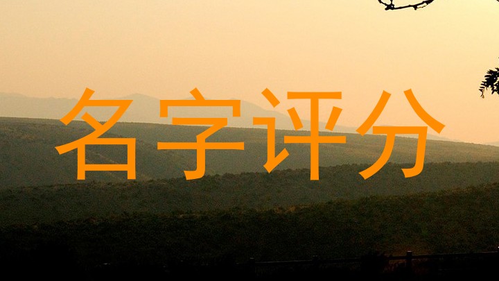 名字评分