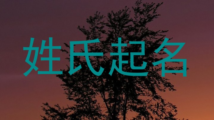 姓氏起名
