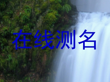 在线测名