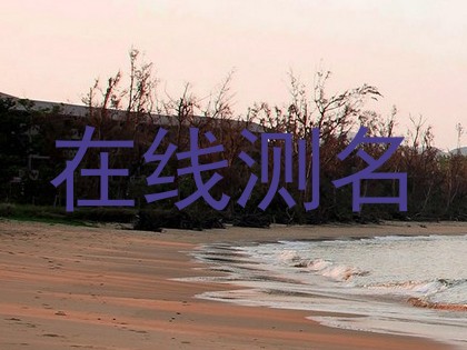 在线测名