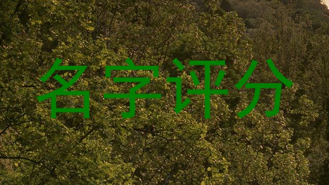 名字评分