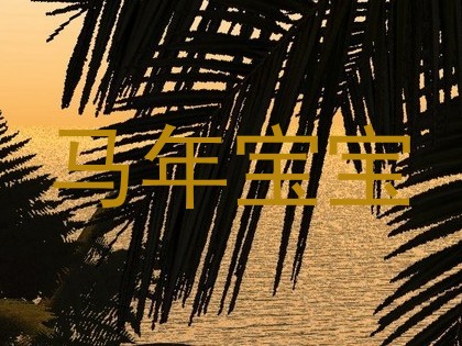 马年宝宝