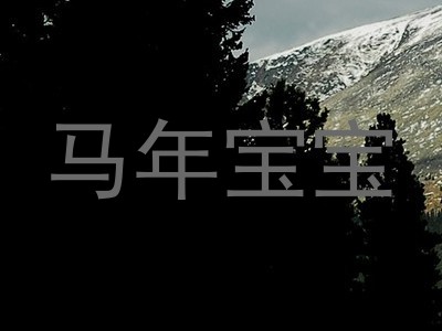 马年宝宝
