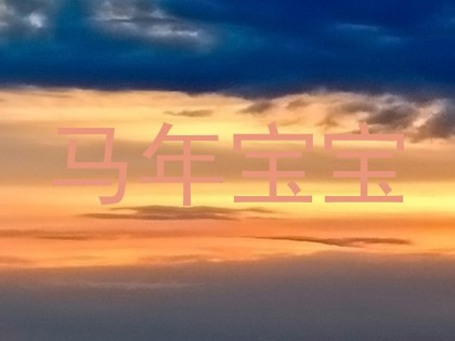 马年宝宝