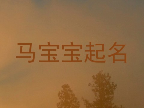 马宝宝起名