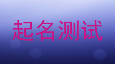 起名测试