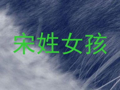 宋姓女孩