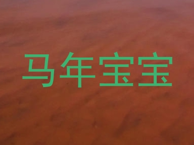 马年宝宝
