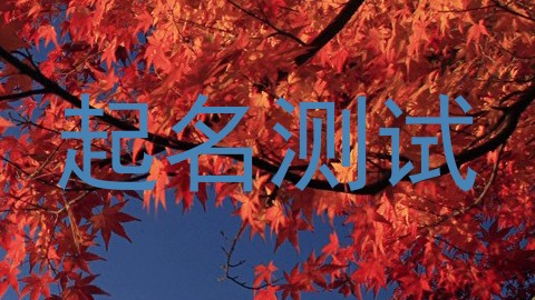 起名测试