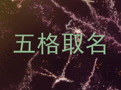 五格取名