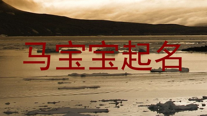 马宝宝起名