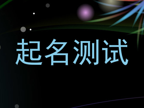 起名测试