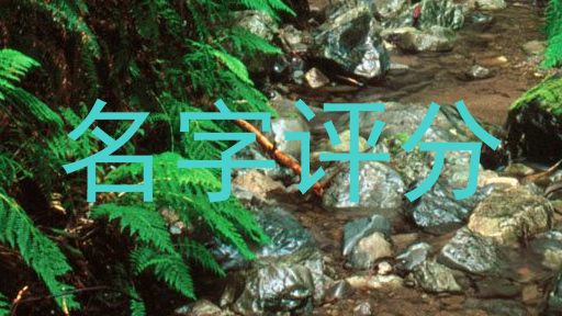 在线测名