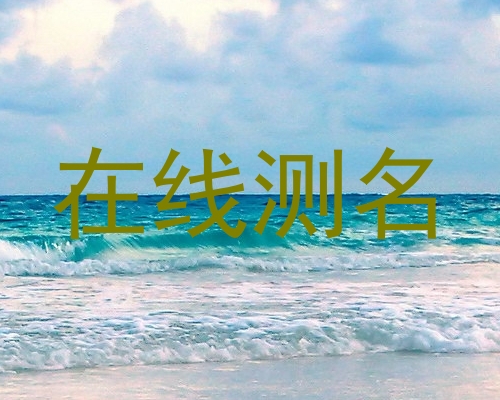 在线测名