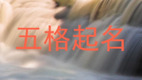 五格起名