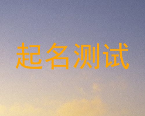 起名测试