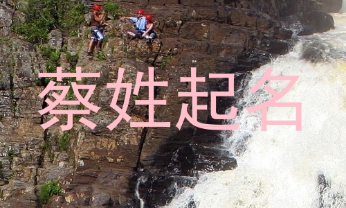 蔡姓起名
