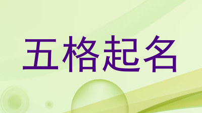 五格起名