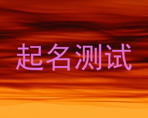 起名测试