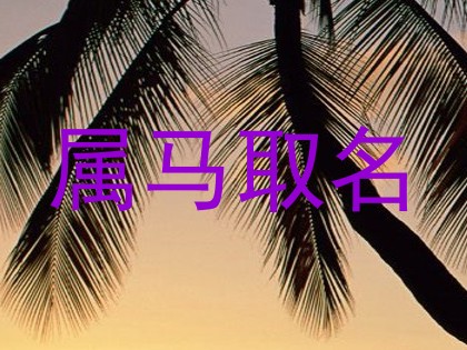 属马取名