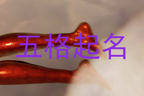 五格起名