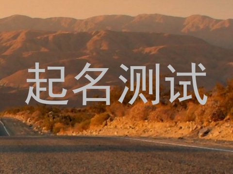 起名测试