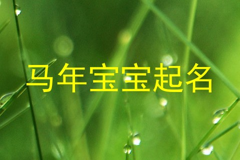 马年宝宝起名