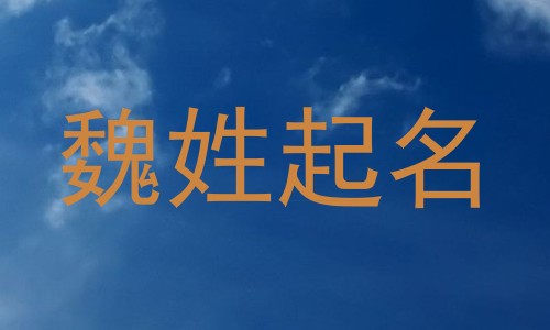 魏姓起名
